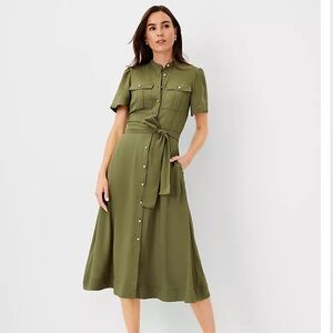 Ann Taylor Olive Green Shirtdress 4P